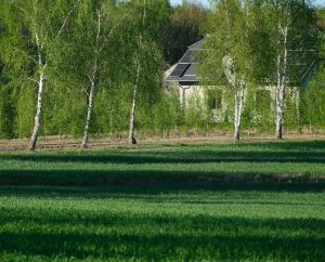 Namų technologijų atnaujinimai 2026: kas naujo ir ką verta diegti dabar